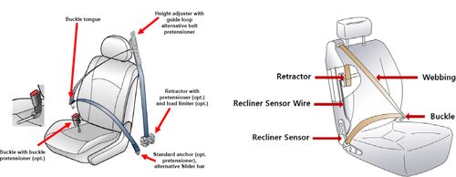 Latest company blog about Automotive Seat Belt Structure and Working Principle Explained