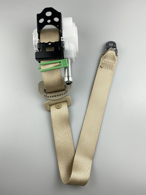 Three Point Seat Belts
