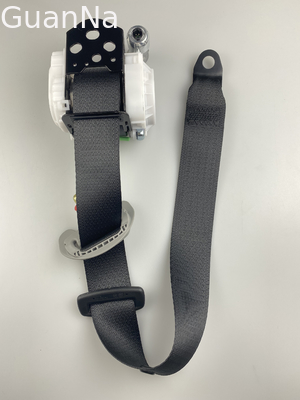 Three Point Seat Belts