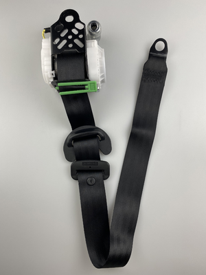Three Point Seat Belts