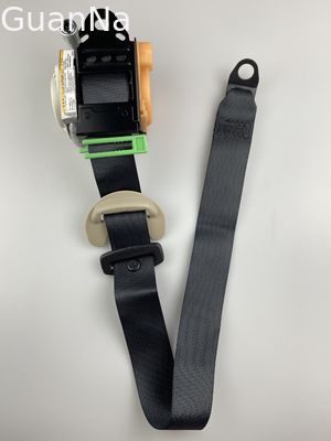 Three Point Seat Belts